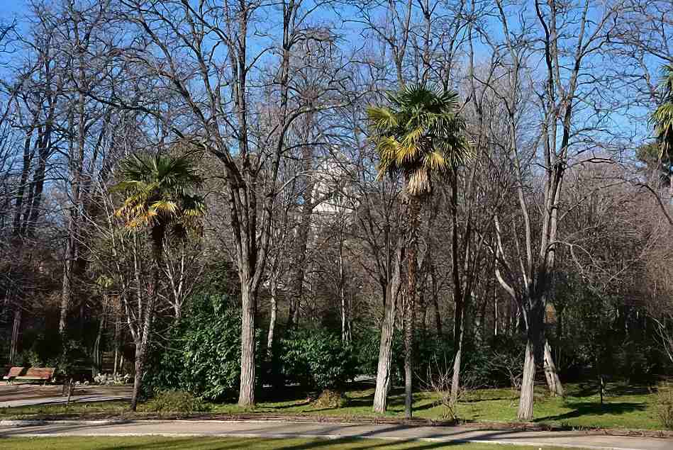 Foto de Madrid (Comunidad de Madrid), España