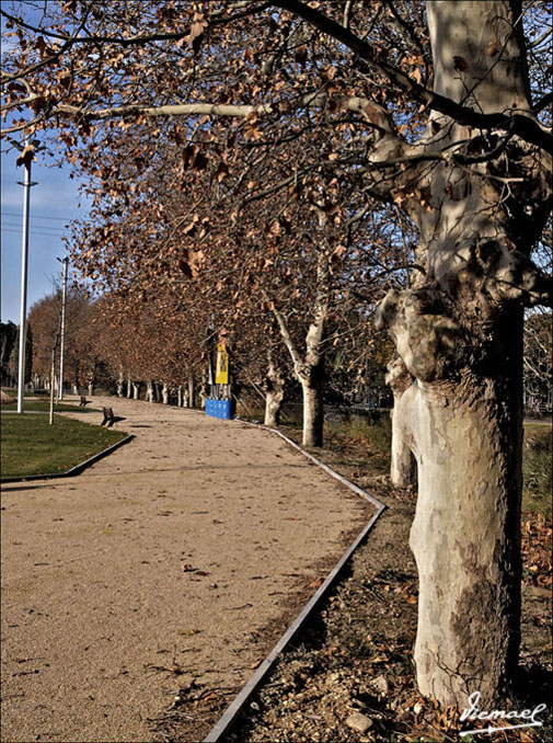 Foto de Zaragoza (Aragón), España