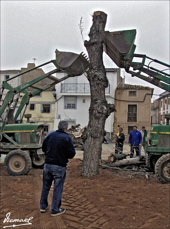 Foto de Alconchel de Ariza (Zaragoza), España