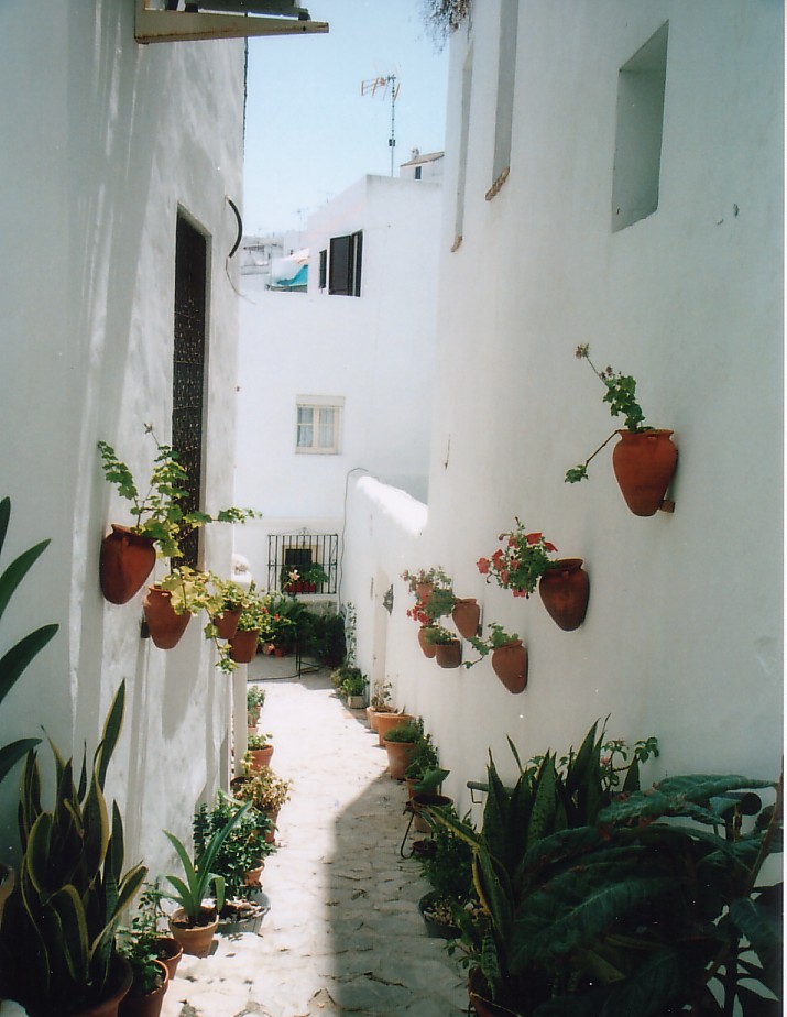 Foto de Vejer de la Frontera (Cádiz), España