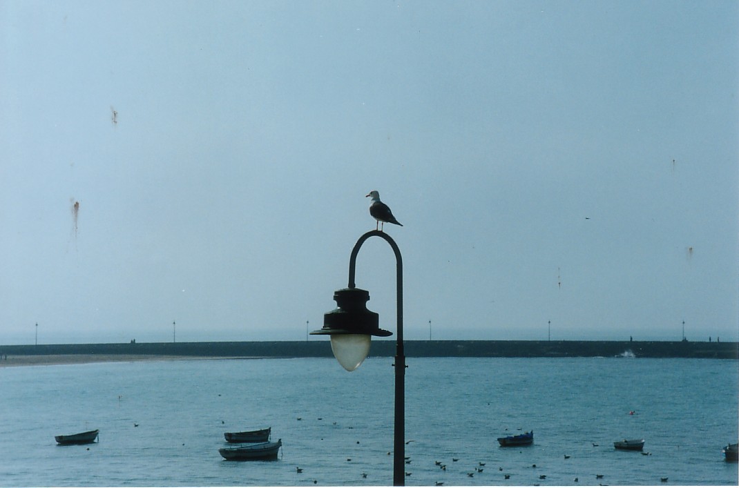 Foto de Cádiz (Andalucía), España