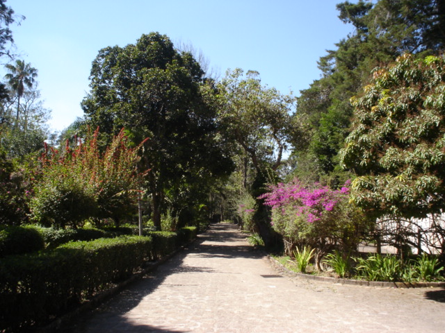 Foto de Tegucigalpa, Honduras