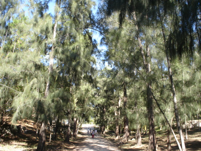 Foto de Tegucigalpa, Honduras