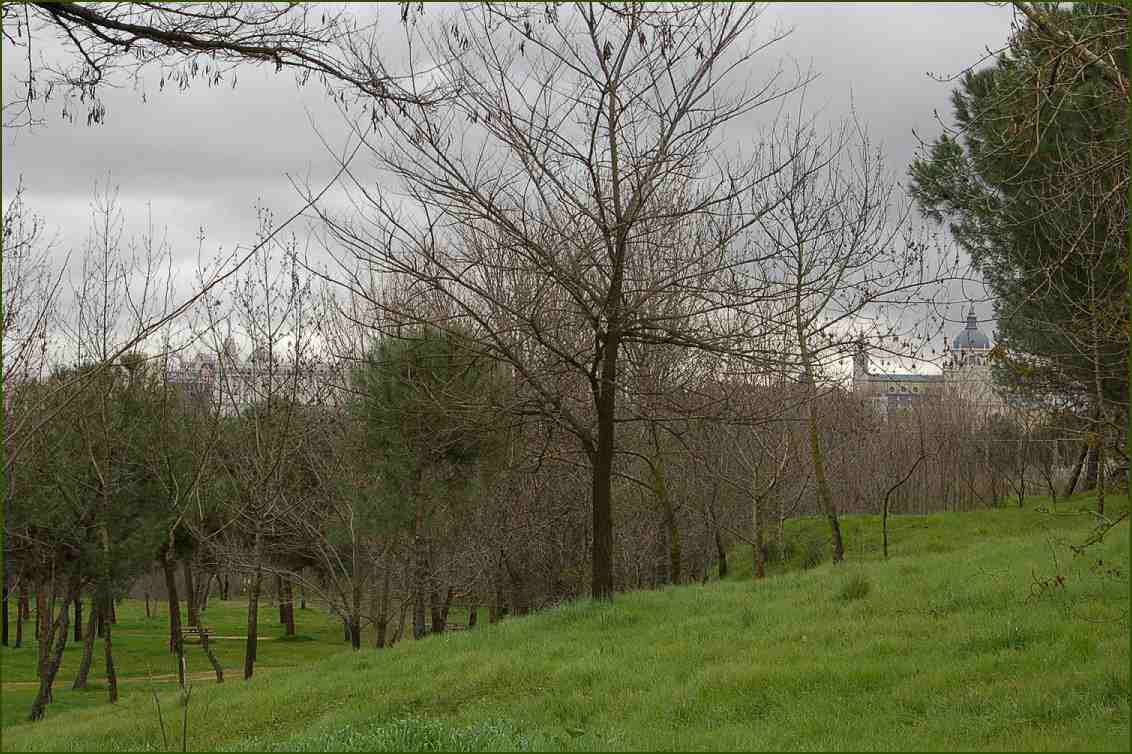 Foto de Madrid (Comunidad de Madrid), España