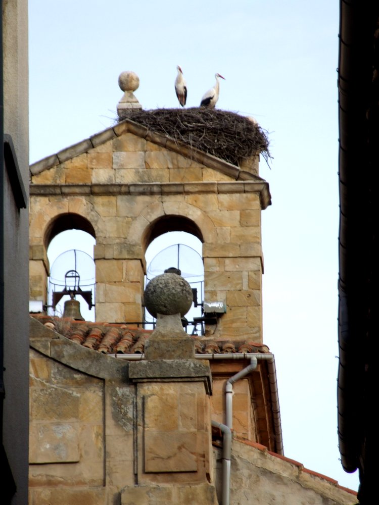 Foto de Soria (Castilla y León), España