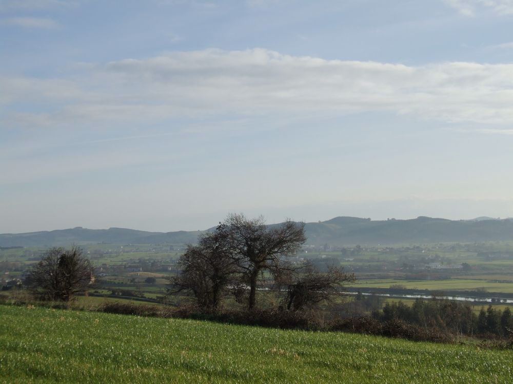 Foto de Suesa (Cantabria), España