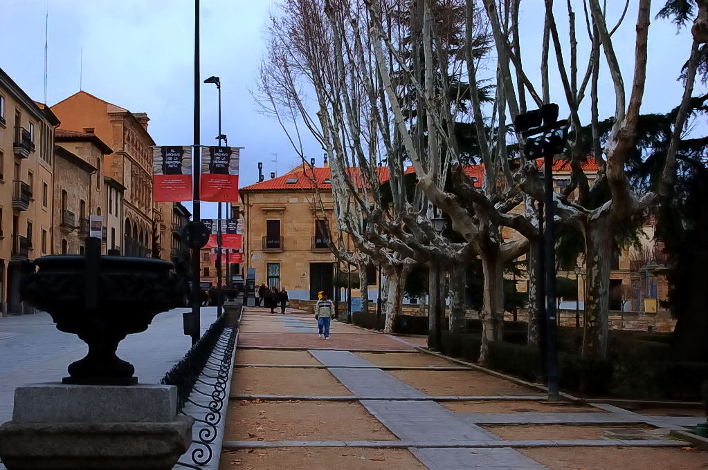 Foto de Salamanca (Castilla y León), España