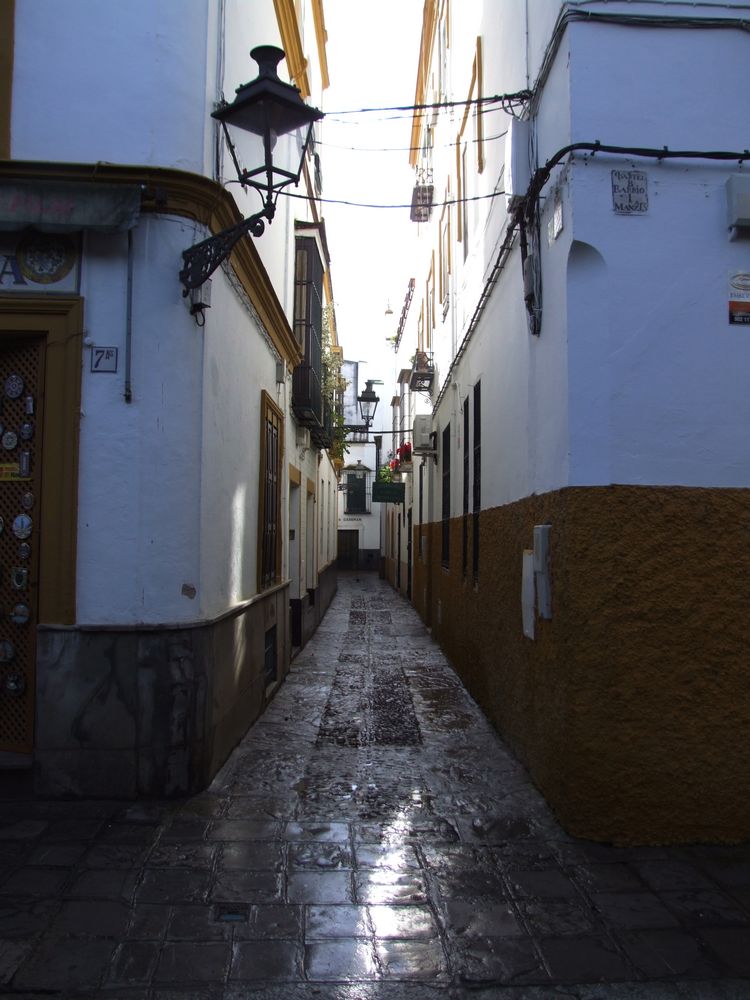 Foto de Sevilla (Andalucía), España