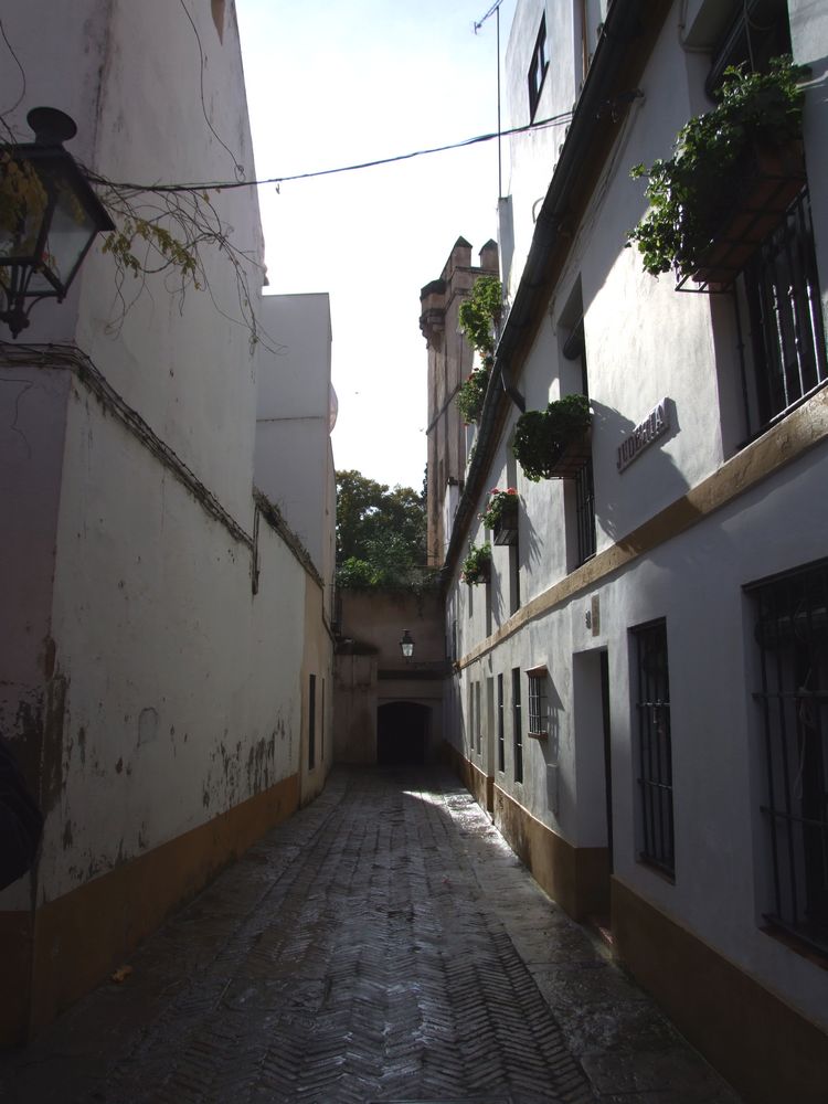 Foto de Sevilla (Andalucía), España