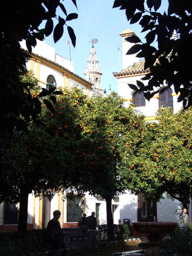 Foto de Sevilla (Andalucía), España