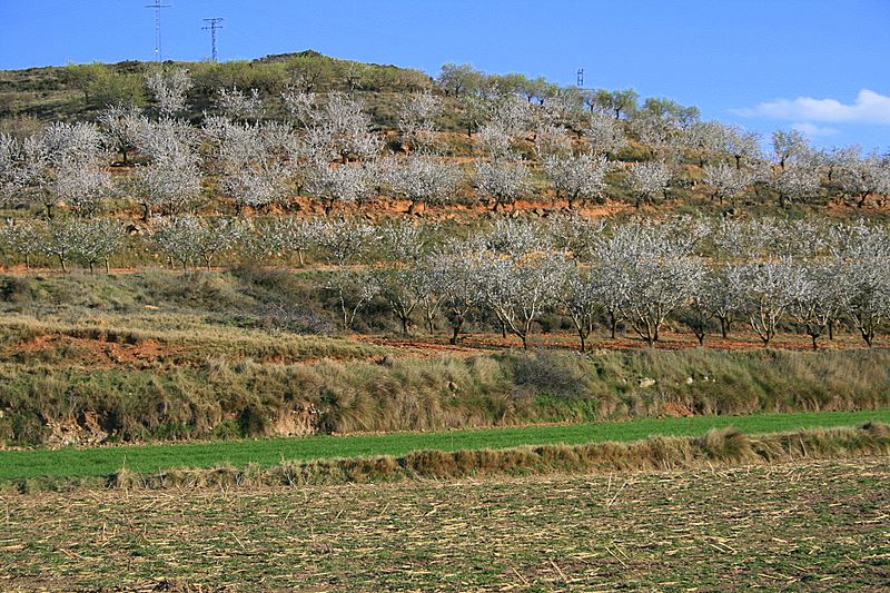 Foto de Valverde de Ágreda (Soria), España