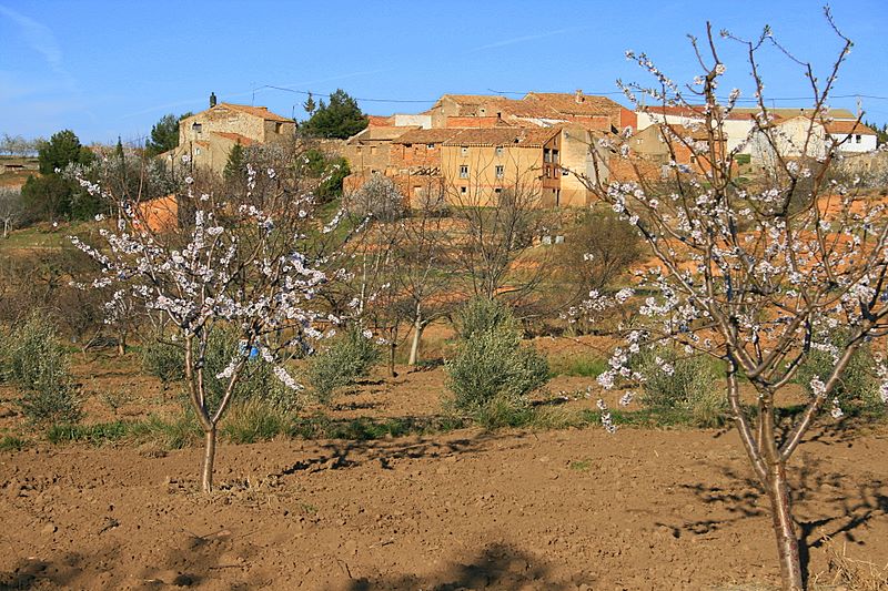 Foto de Valverde de Ágreda (Soria), España