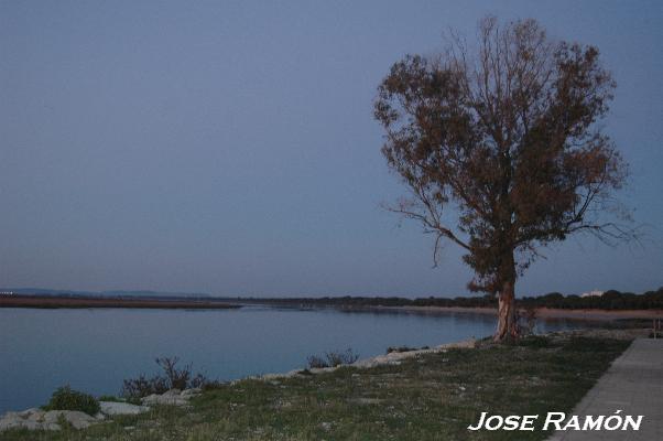 Foto de Puerto Real (Cádiz), España