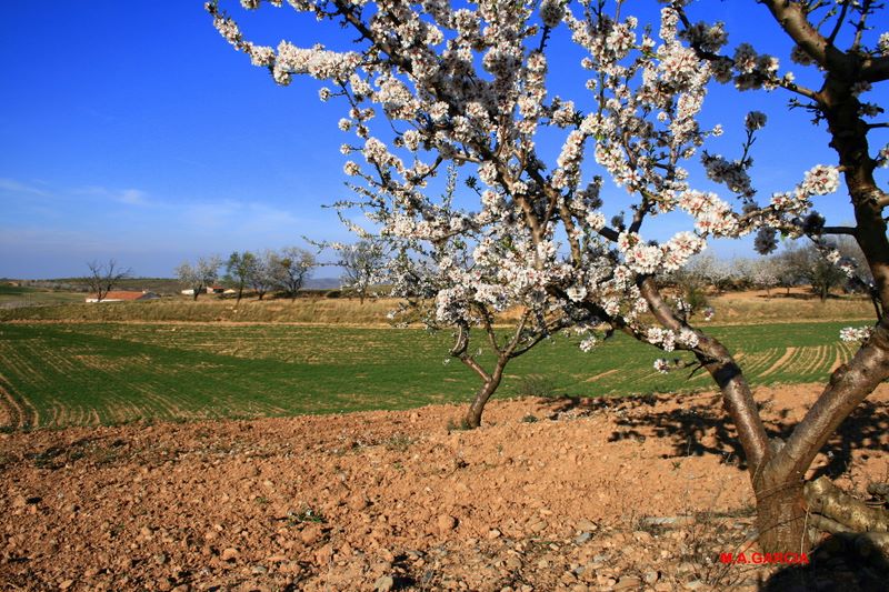 Foto de Valverde de Ágreda (Soria), España