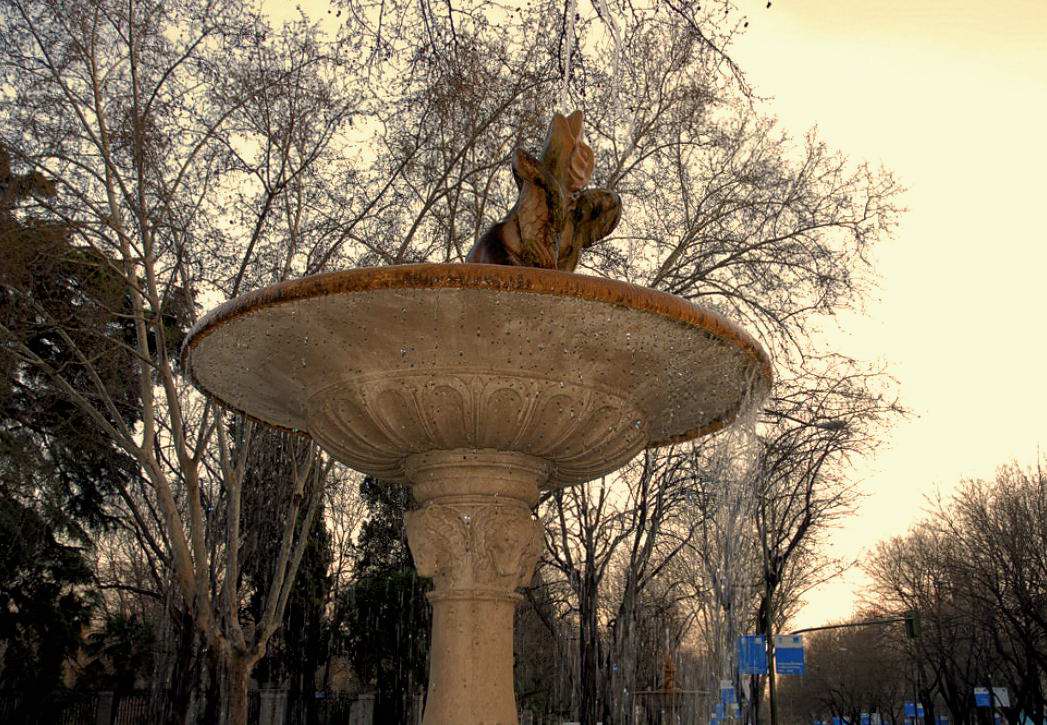 Foto de Madrid (Comunidad de Madrid), España