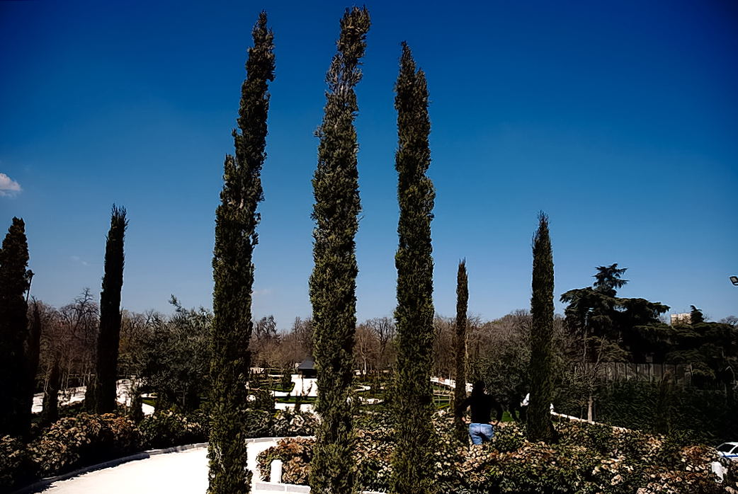 Foto de Madrid (Comunidad de Madrid), España