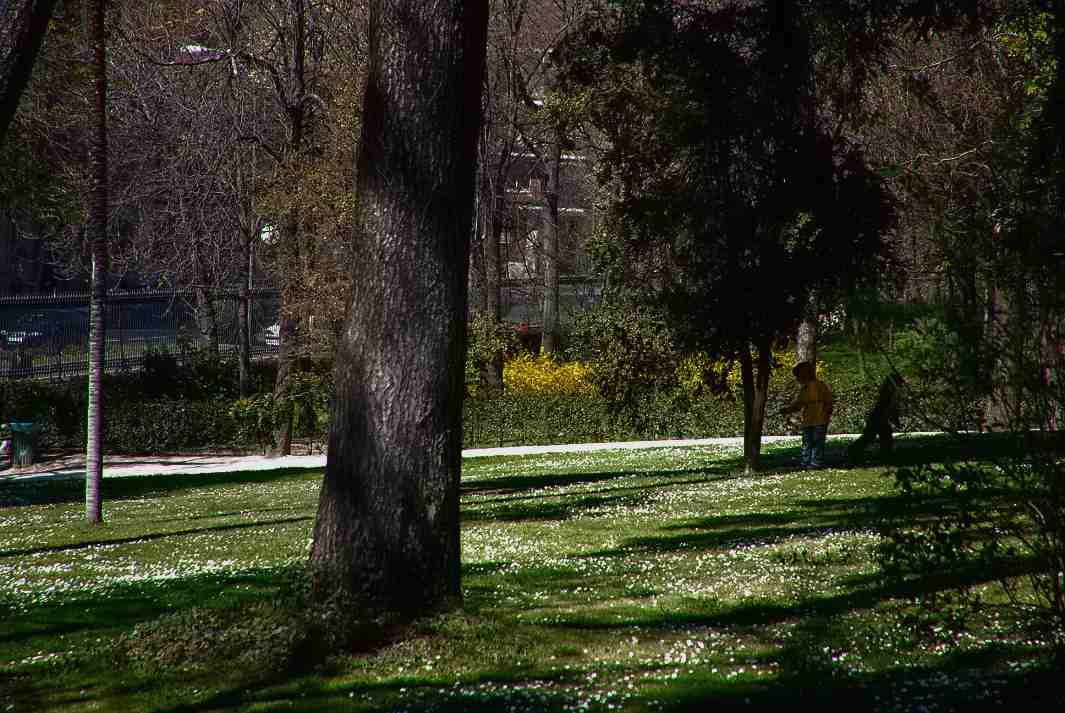 Foto de Madrid (Comunidad de Madrid), España