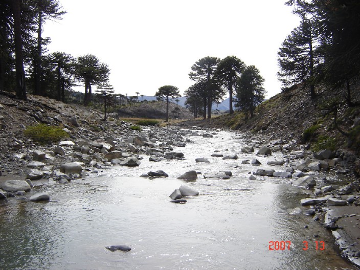 Foto de Caviahue, Argentina