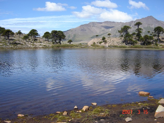 Foto de Caviahue (Neuquén), Argentina