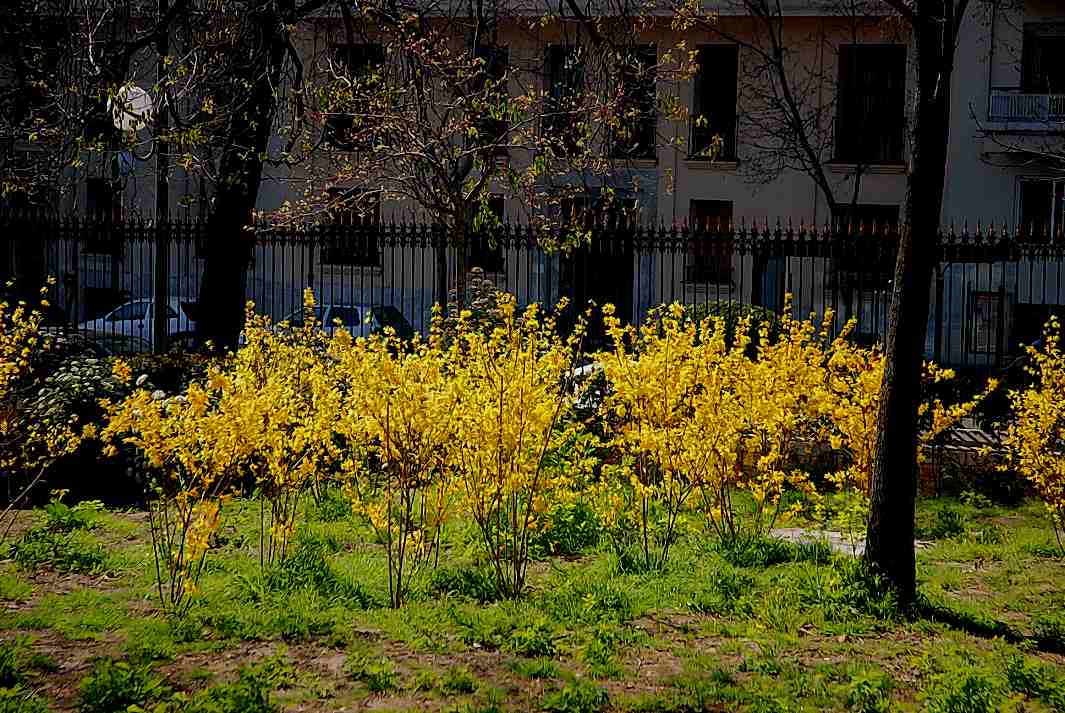 Foto de Madrid (Comunidad de Madrid), España