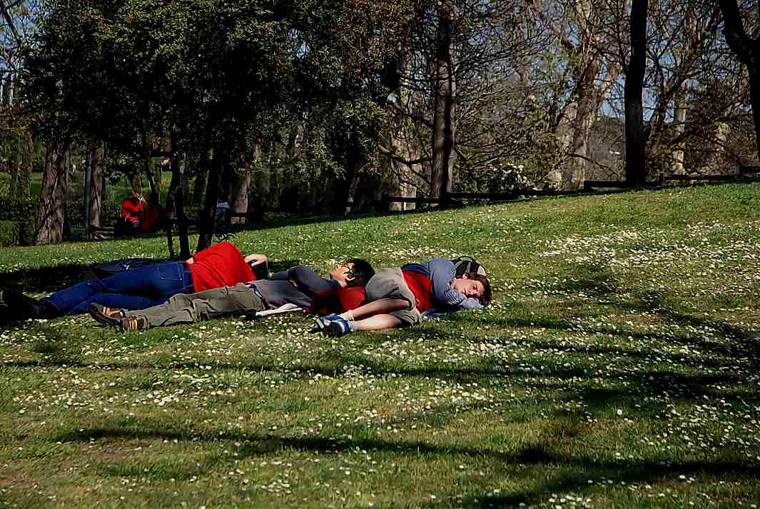 Foto de Madrid (Comunidad de Madrid), España