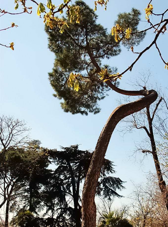 Foto de Madrid (Comunidad de Madrid), España