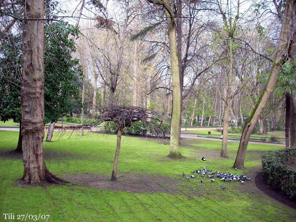 Foto de Oviedo (Asturias), España