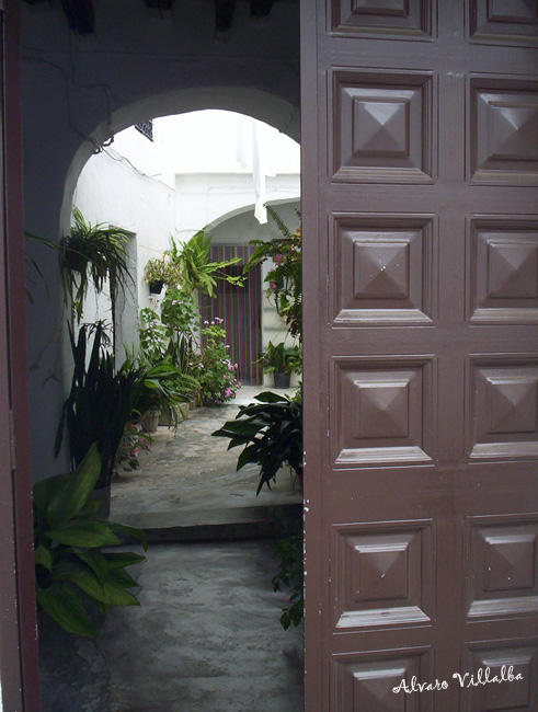 Foto de Vejer de la Frontera (Cádiz), España