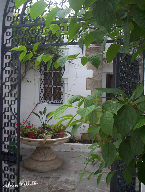 Foto de Vejer de la Frontera (Cádiz), España