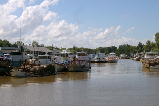 Foto de Delta del Tigre (Buenos Aires), Argentina