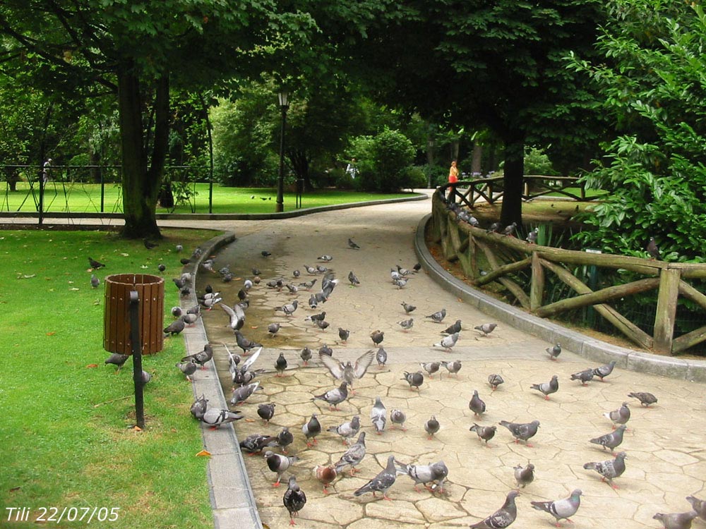 Foto de Oviedo (Asturias), España