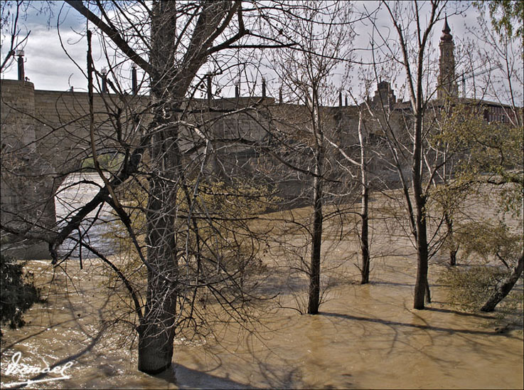 Foto de Zaragoza (Aragón), España