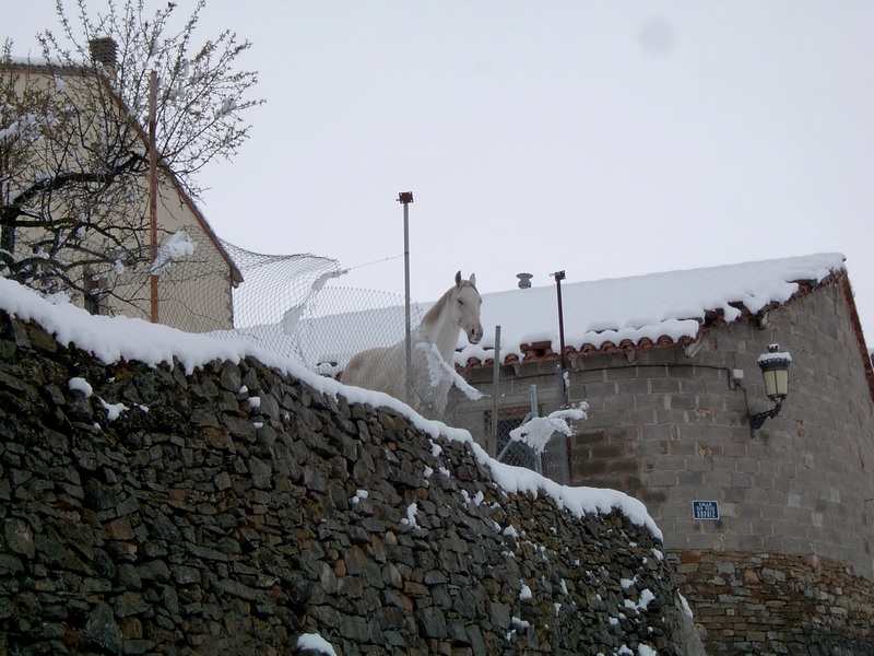 Foto de La Puebla de Valverde (Teruel), España