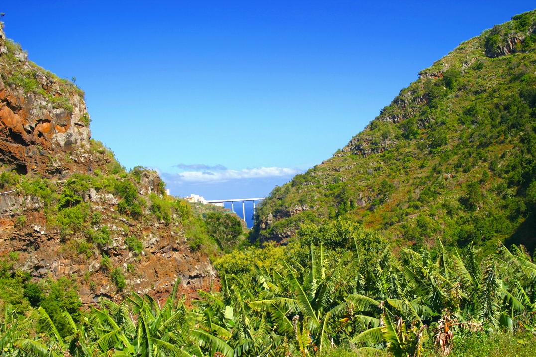 Foto de Los Tilos - La Palma (Santa Cruz de Tenerife), España