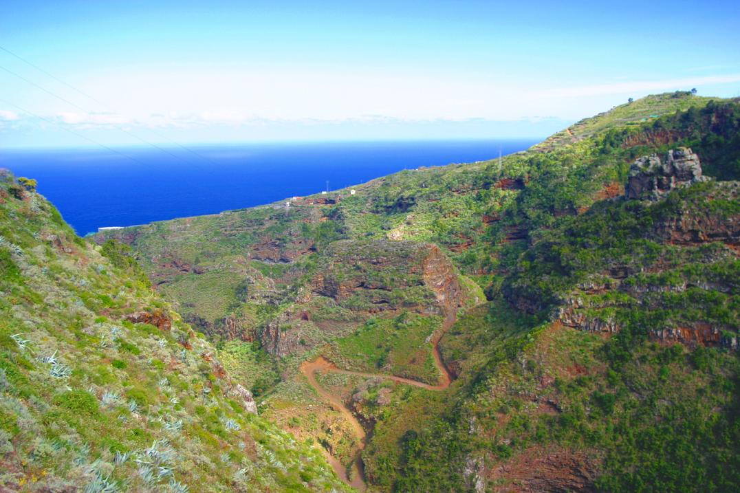 Foto de Los Tilos - La Palma (Santa Cruz de Tenerife), España