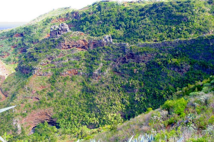 Foto de Los Tilos - La Palma (Santa Cruz de Tenerife), España