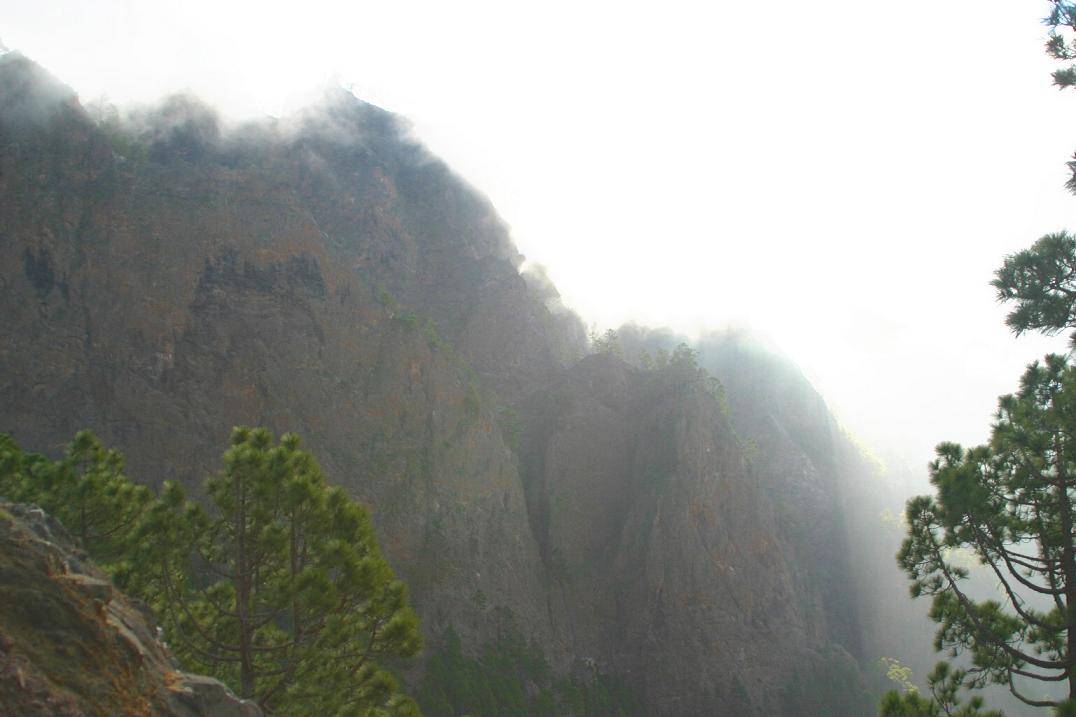 Foto de El Paso - La Palma (Santa Cruz de Tenerife), España