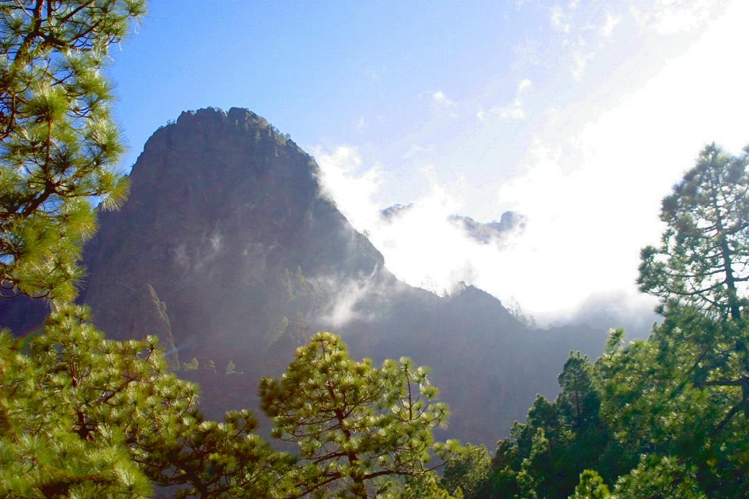 Foto de El Paso - La Palma (Santa Cruz de Tenerife), España