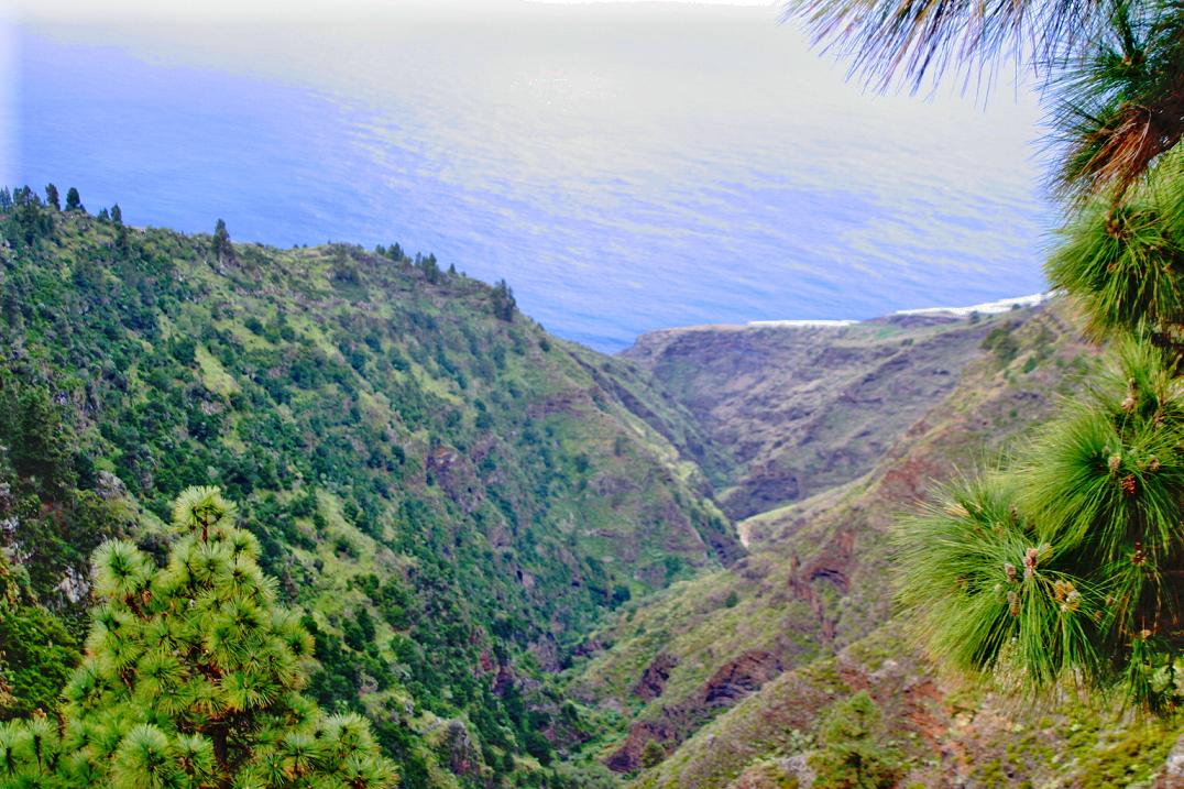 Foto de Tazacorte - La Palma (Santa Cruz de Tenerife), España