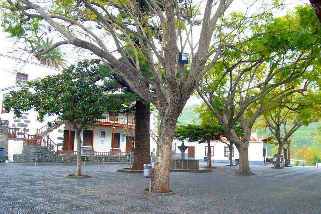 Foto de Las Nieves ( La Palma ) (Santa Cruz de Tenerife), España