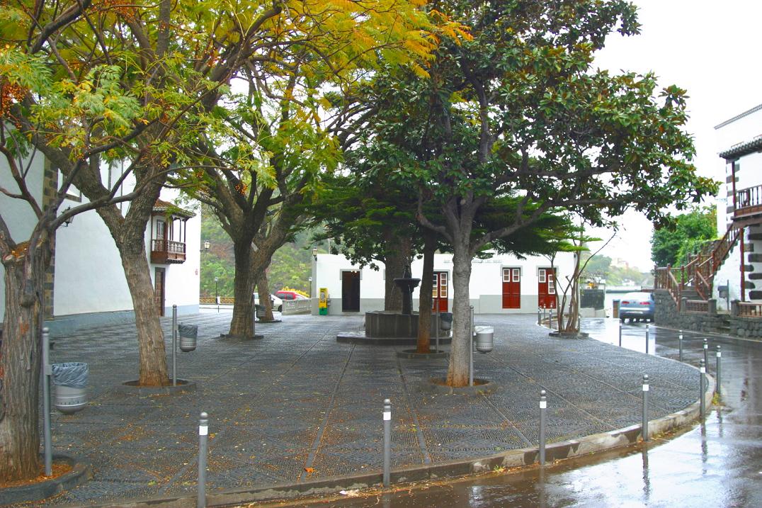 Foto de Las Nieves - La Palma (Santa Cruz de Tenerife), España