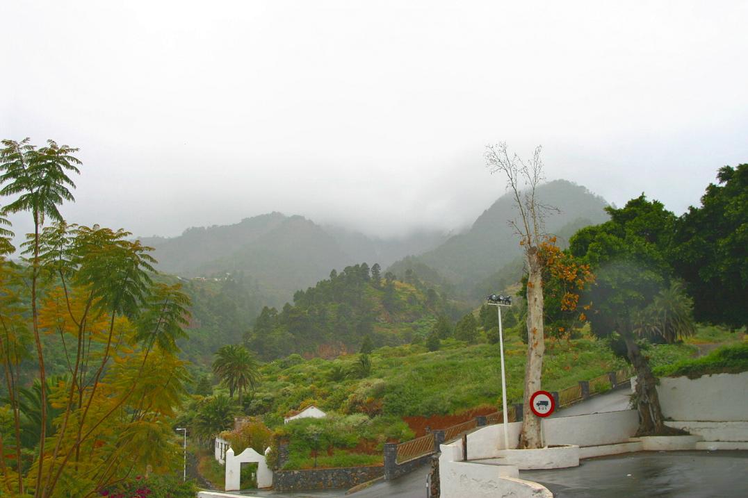 Foto de Las Nieves - La Palma (Santa Cruz de Tenerife), España