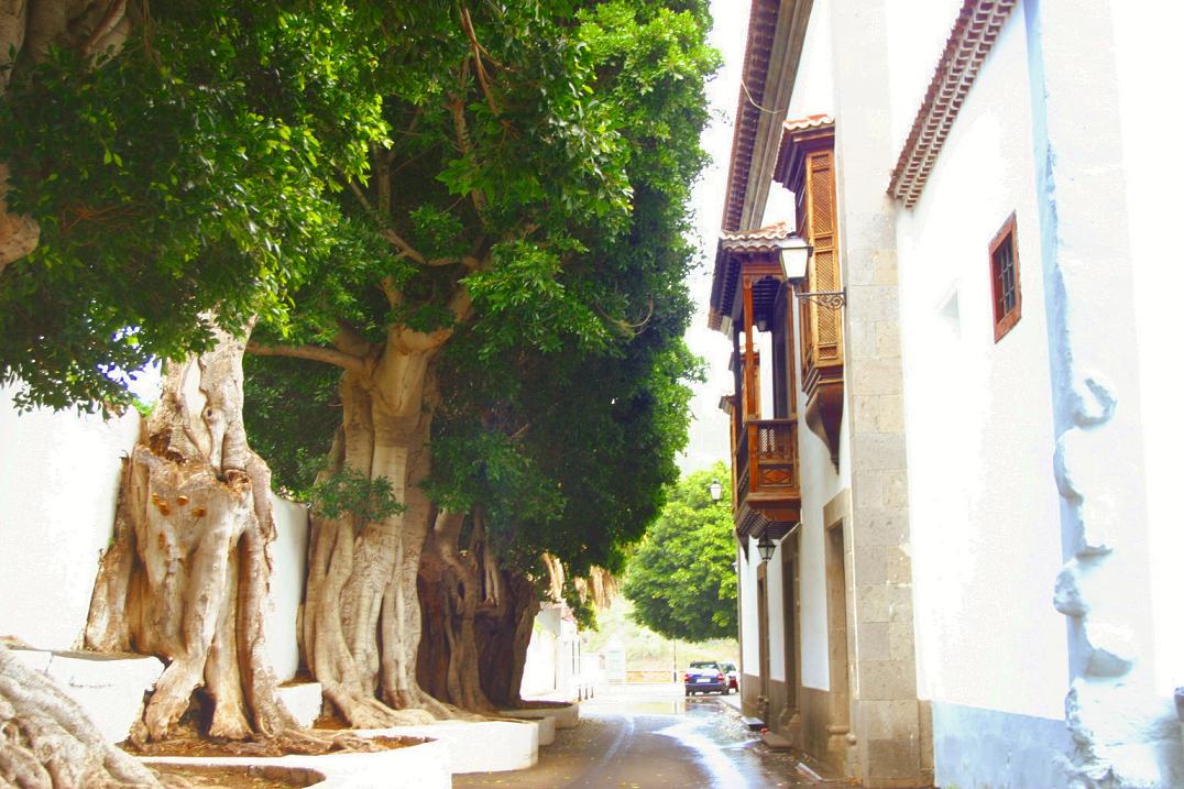 Foto de Las Nieves - La Palma (Santa Cruz de Tenerife), España