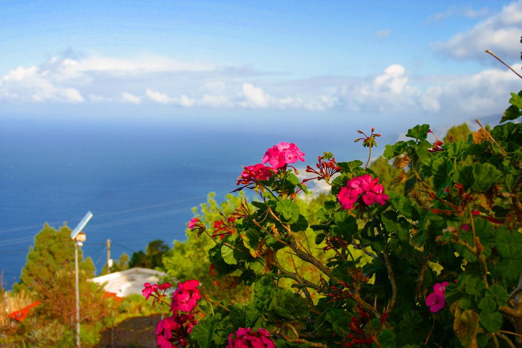 Foto de Puerto Naos - La Palma (Santa Cruz de Tenerife), España