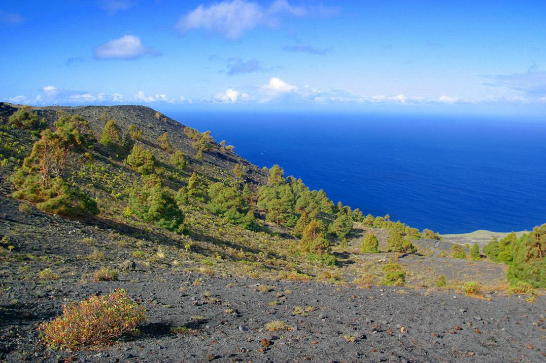 Foto de Los Canarios - La Palma (Santa Cruz de Tenerife), España