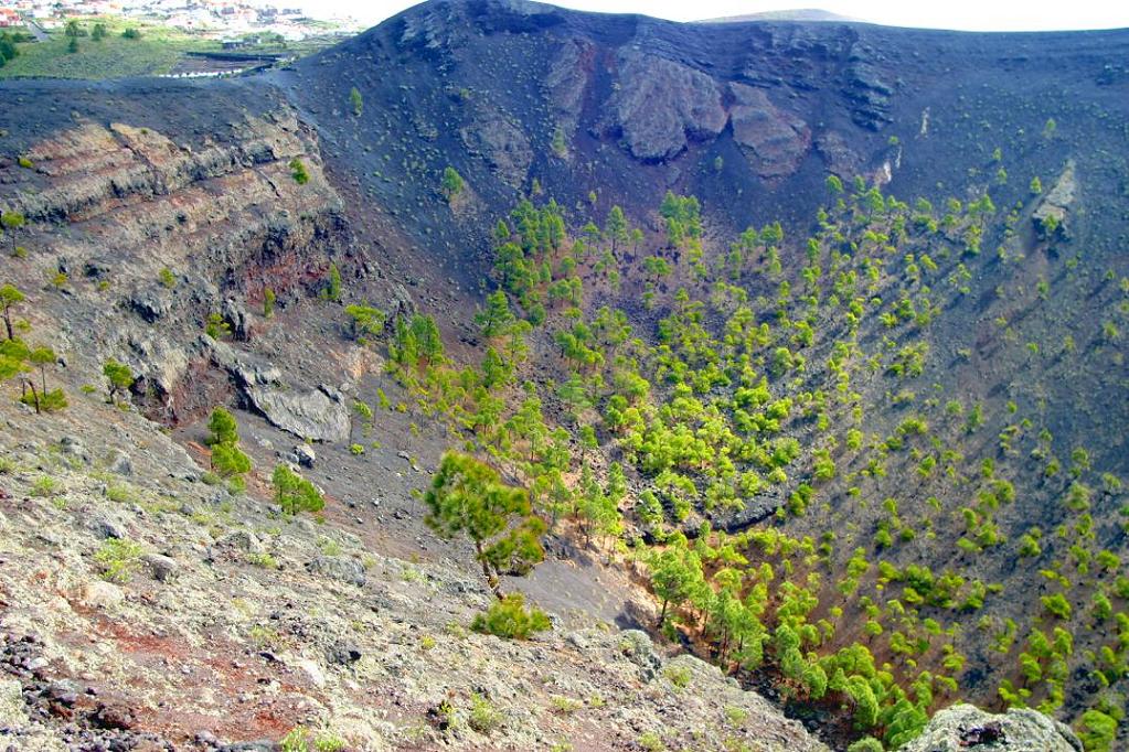 Foto de Los Canarios - La Palma (Santa Cruz de Tenerife), España