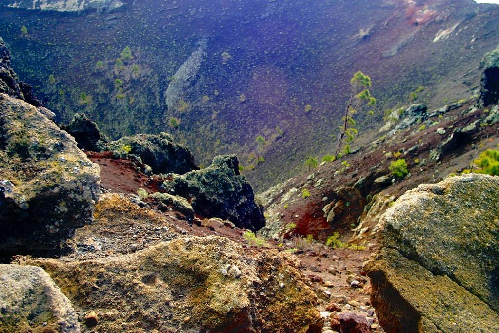 Foto de Los Canarios - La Palma (Santa Cruz de Tenerife), España