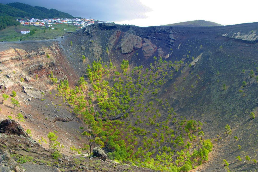 Foto de Los Canarios - La Palma (Santa Cruz de Tenerife), España