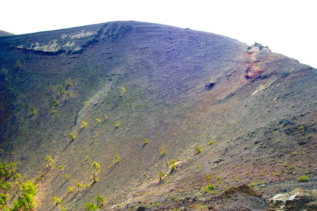 Foto de Los Canarios - La Palma (Santa Cruz de Tenerife), España