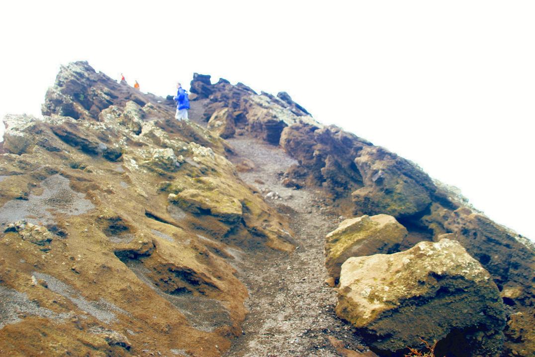 Foto de Los Canarios - La Palma (Santa Cruz de Tenerife), España